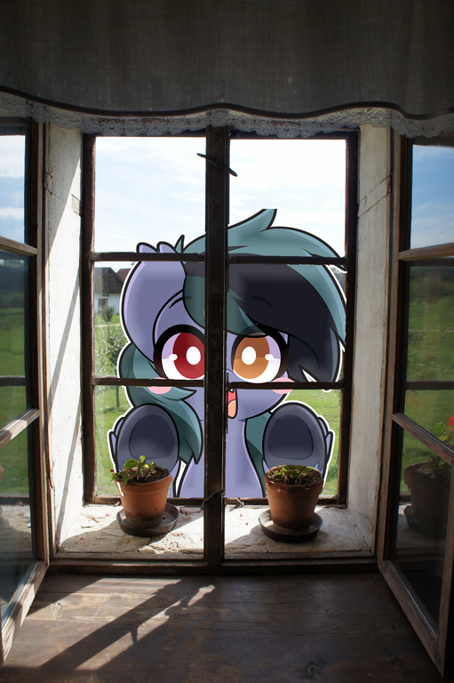 Image: let him innnn copy.png